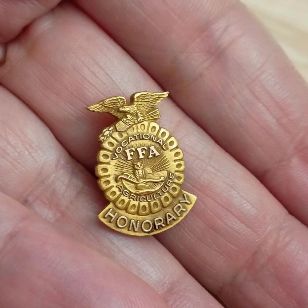 Vintage LGB 10K Gold Filled National FFA Organization Honorary Lapel Brooch Pin